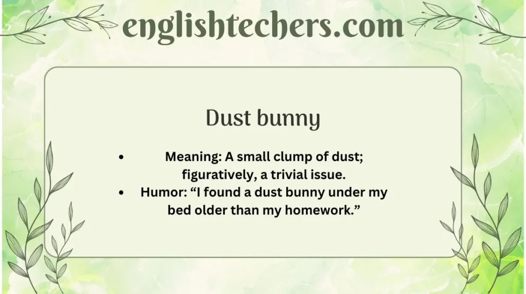 Dust bunny