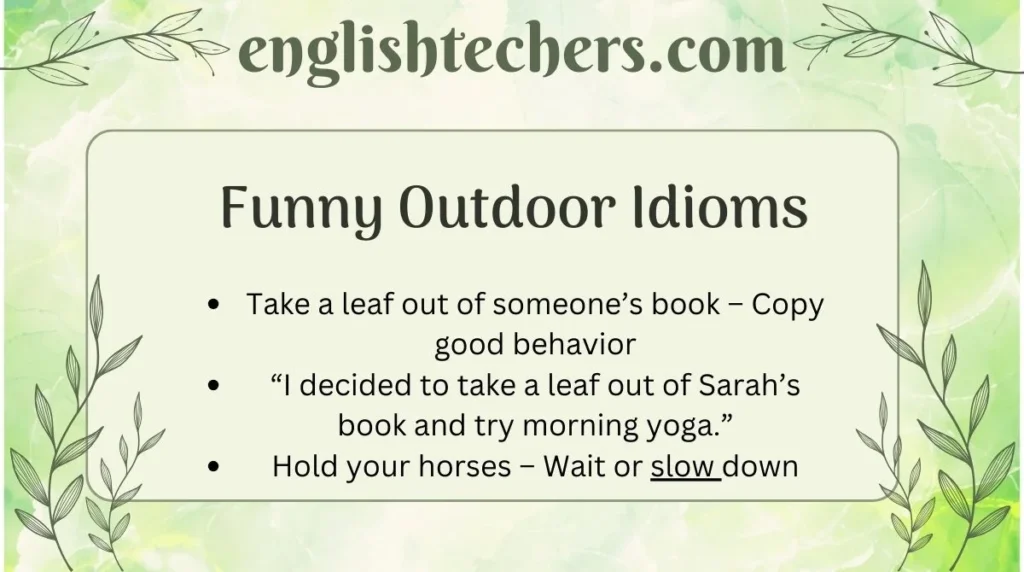 Funny Outdoor Idioms