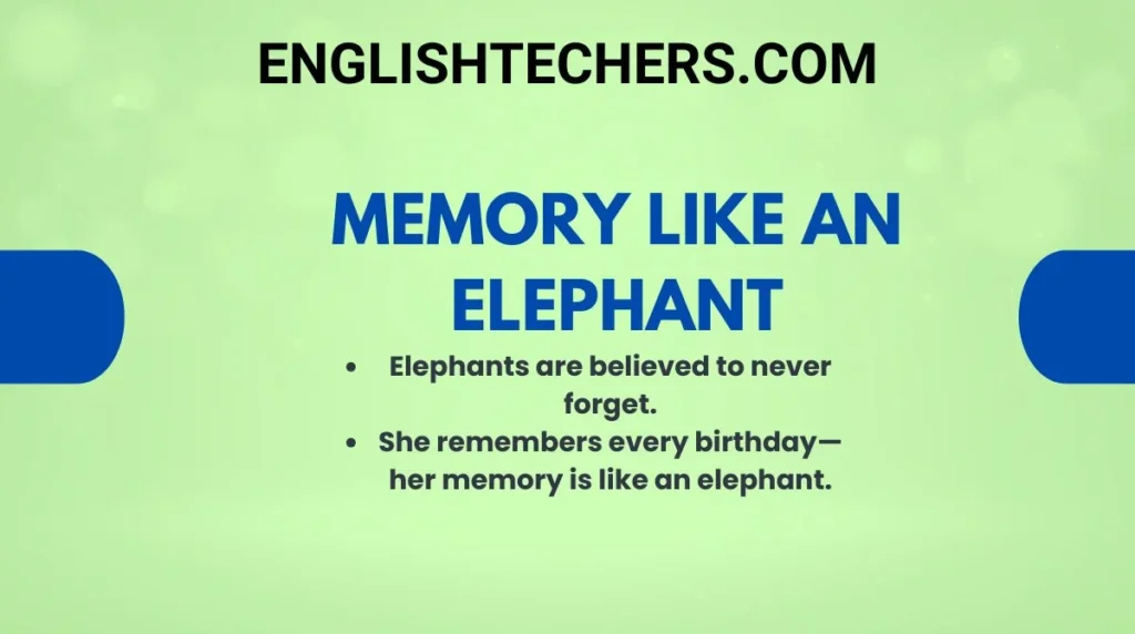 Memory like an elephant