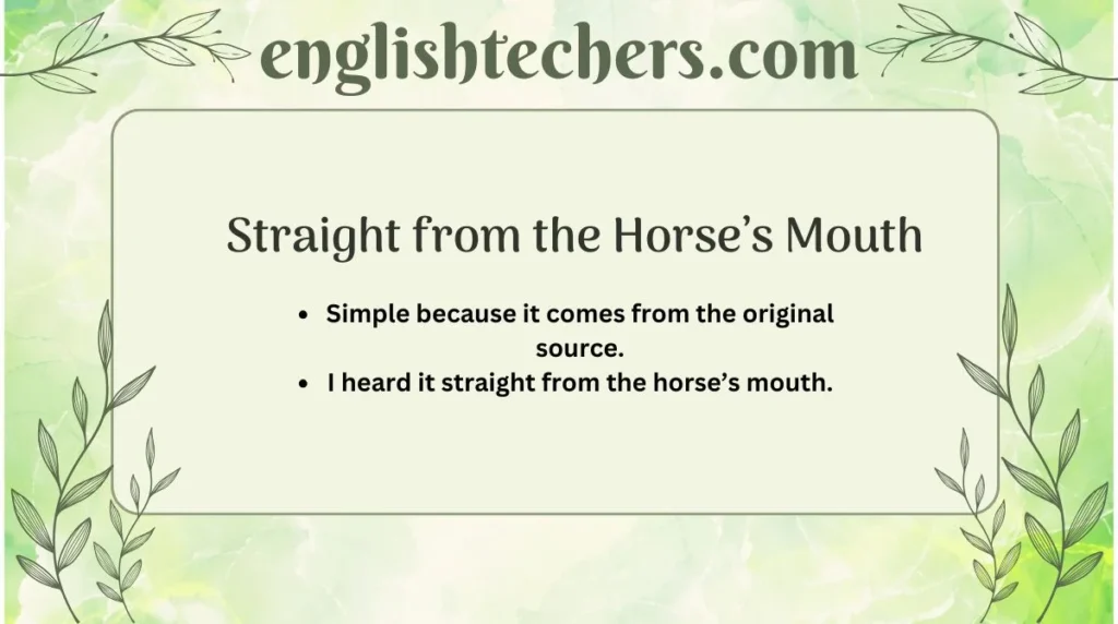 Straight from the Horse’s Mouth