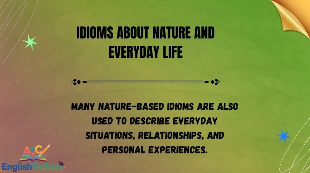 Idioms About Nature and Everyday Life