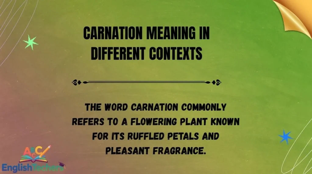 Carnation Meaning in Different Contexts