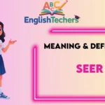 Seer Meaning Definition