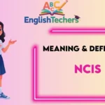 NCIS Meaning Definition