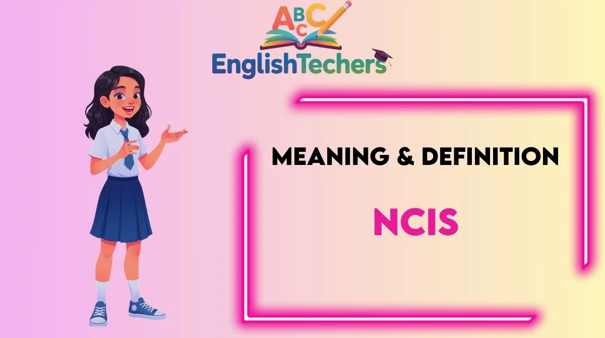 NCIS Meaning Definition