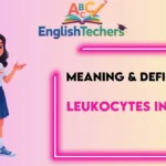 Leukocytes in Urine Meaning Definition