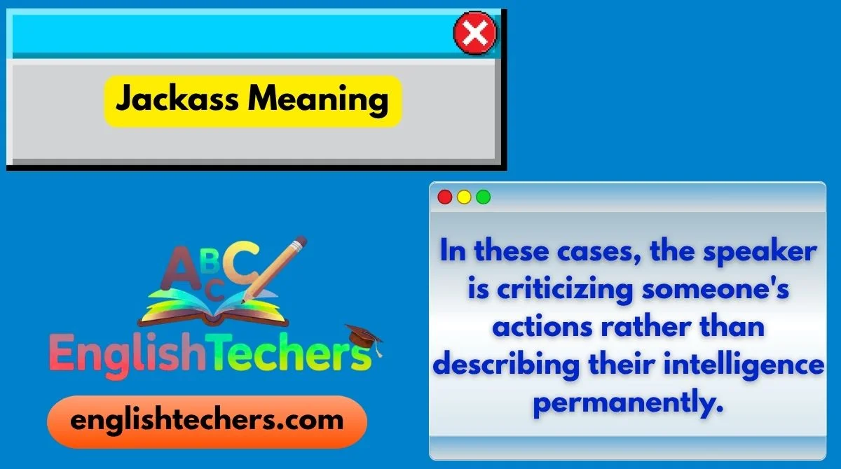 Jackass Meaning