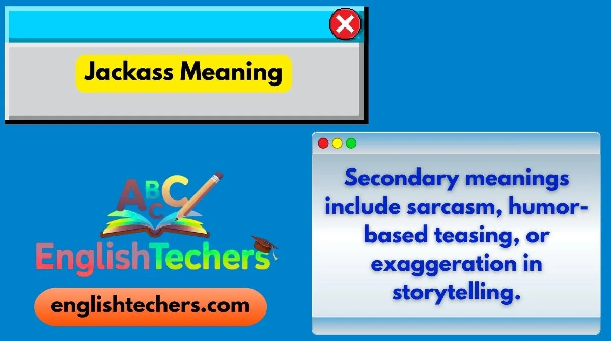 Jackass Meaning