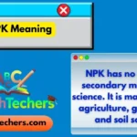 NPK Meaning