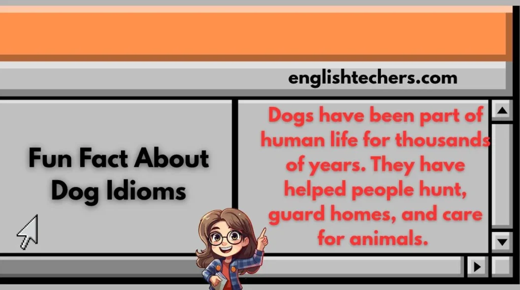 Fun Fact About Dog Idioms